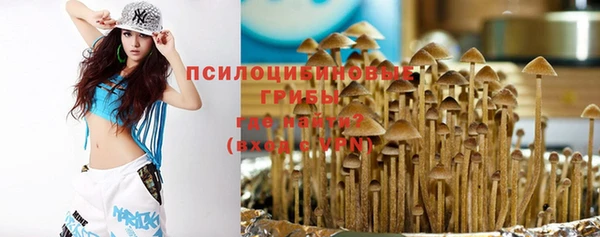 ГАЛЛЮЦИНОГЕННЫЕ ГРИБЫ Алзамай